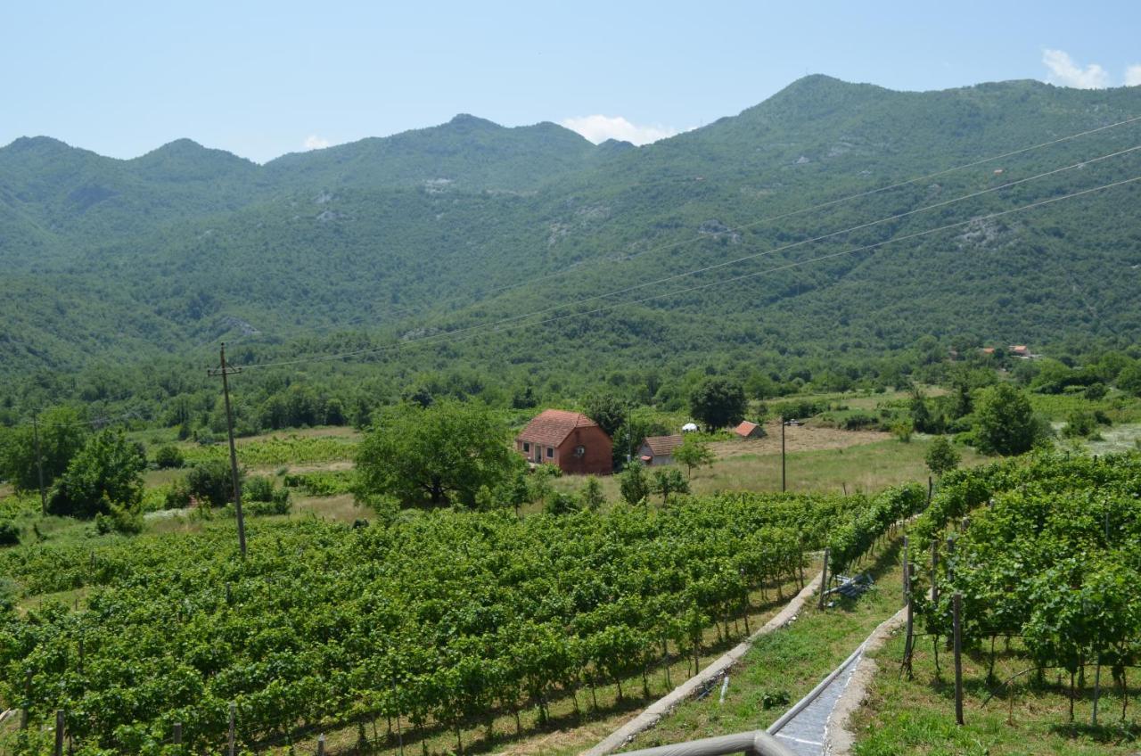 Markovic Winery And Estate Apartments Cetinje Exterior photo
